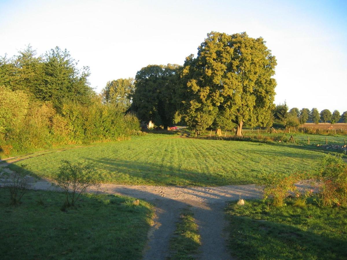 Cosy Apartment In Semlow Germany With Garden Εξωτερικό φωτογραφία